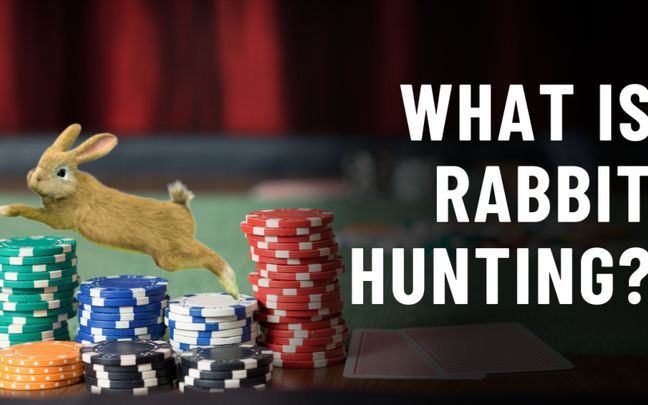 What is Rabbit poker? Discover the important considerations when using rabbit poker